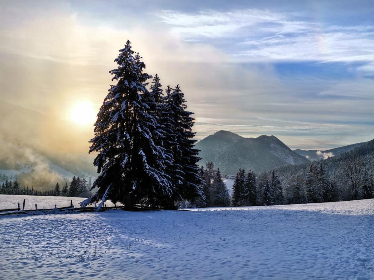 Der Torwirt Radstadt Buitenkant foto